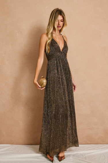 Veil Plunging Maxi Dress